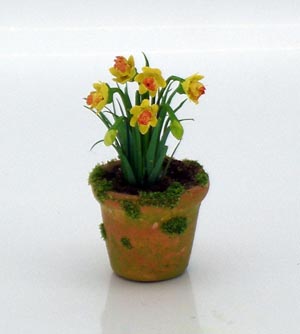 Daffodils in Mossy Pot